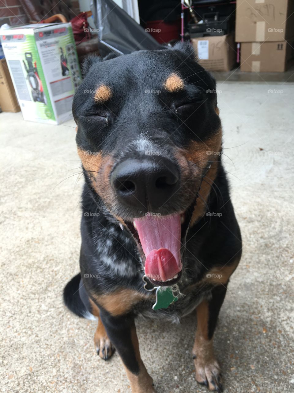 yawning milo