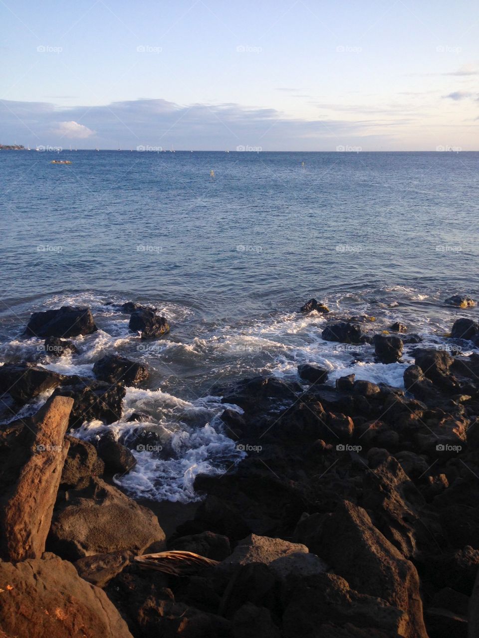 Maui Shoreline . Maui  Shoreline  