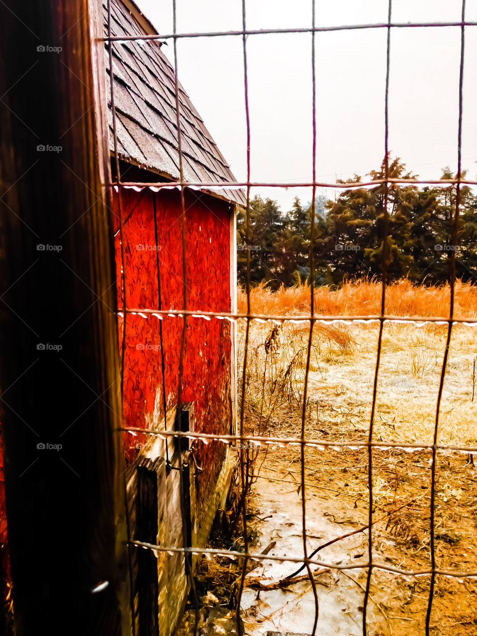 Looking through the fence at a barn in freezing rain