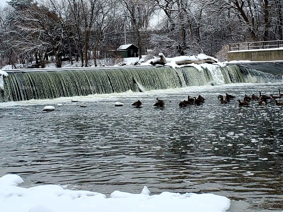 Thiensville dam