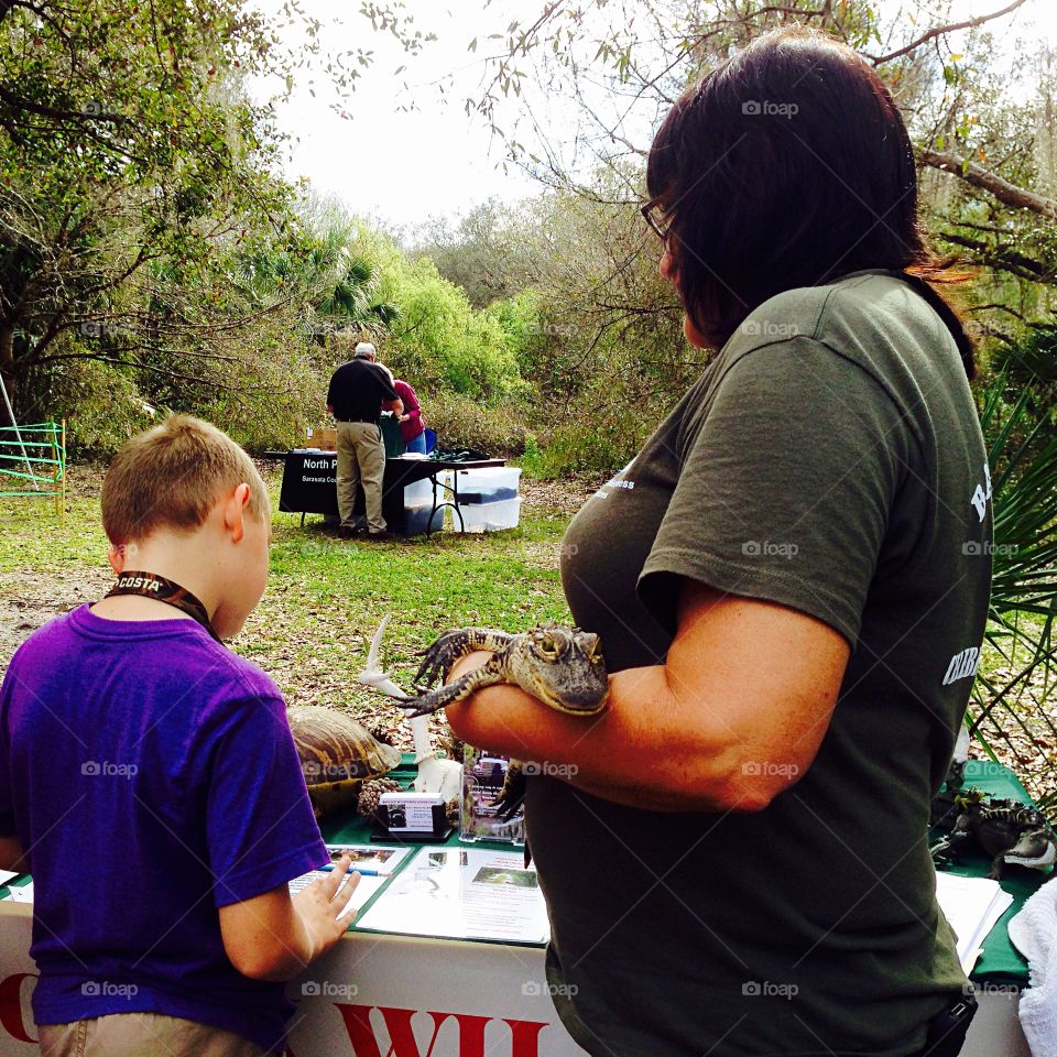 Child learning about and holding a baby alligator.