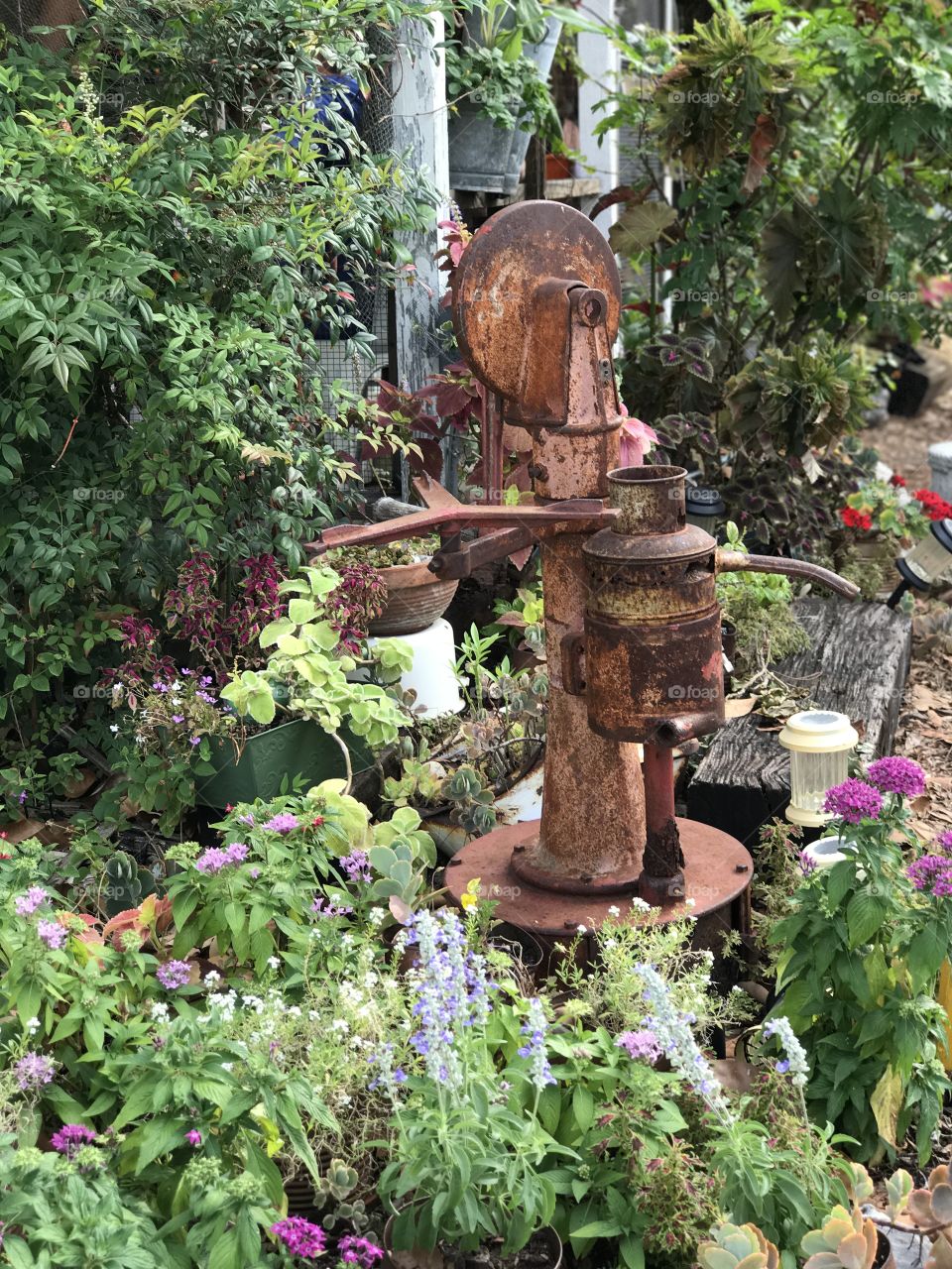 Water pump in the garden 