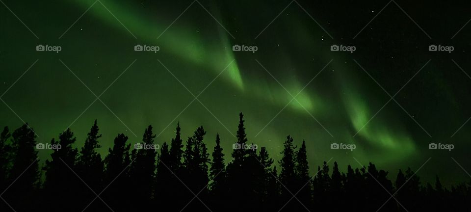 Beautiful northern nights light up the Yukon Canada sky