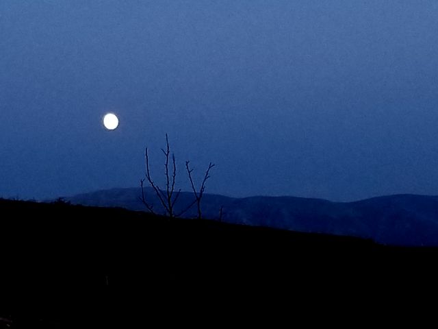 mountain