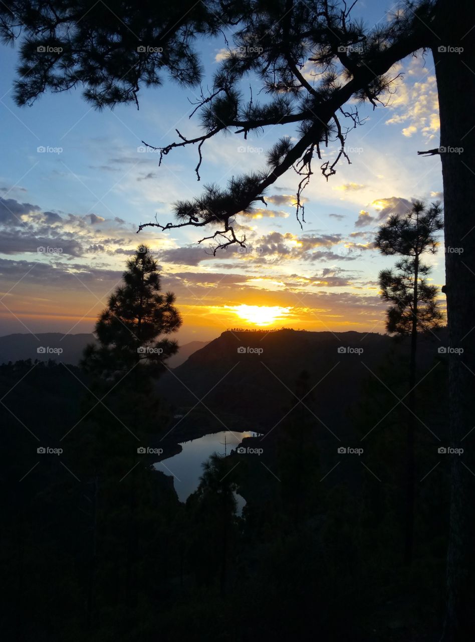 Sunset, Landscape, Tree, Dawn, Evening