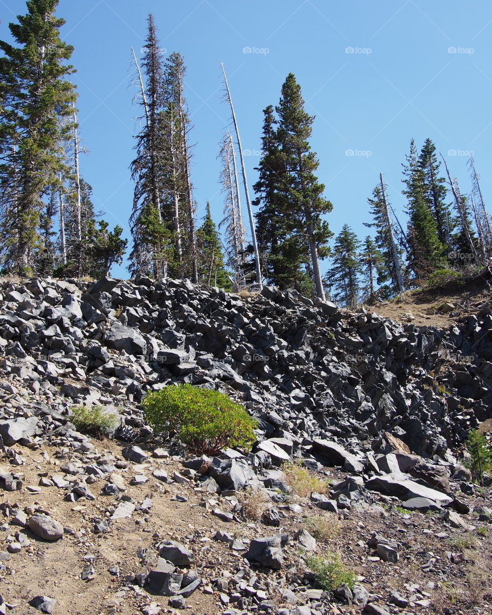 View of rocks on hill