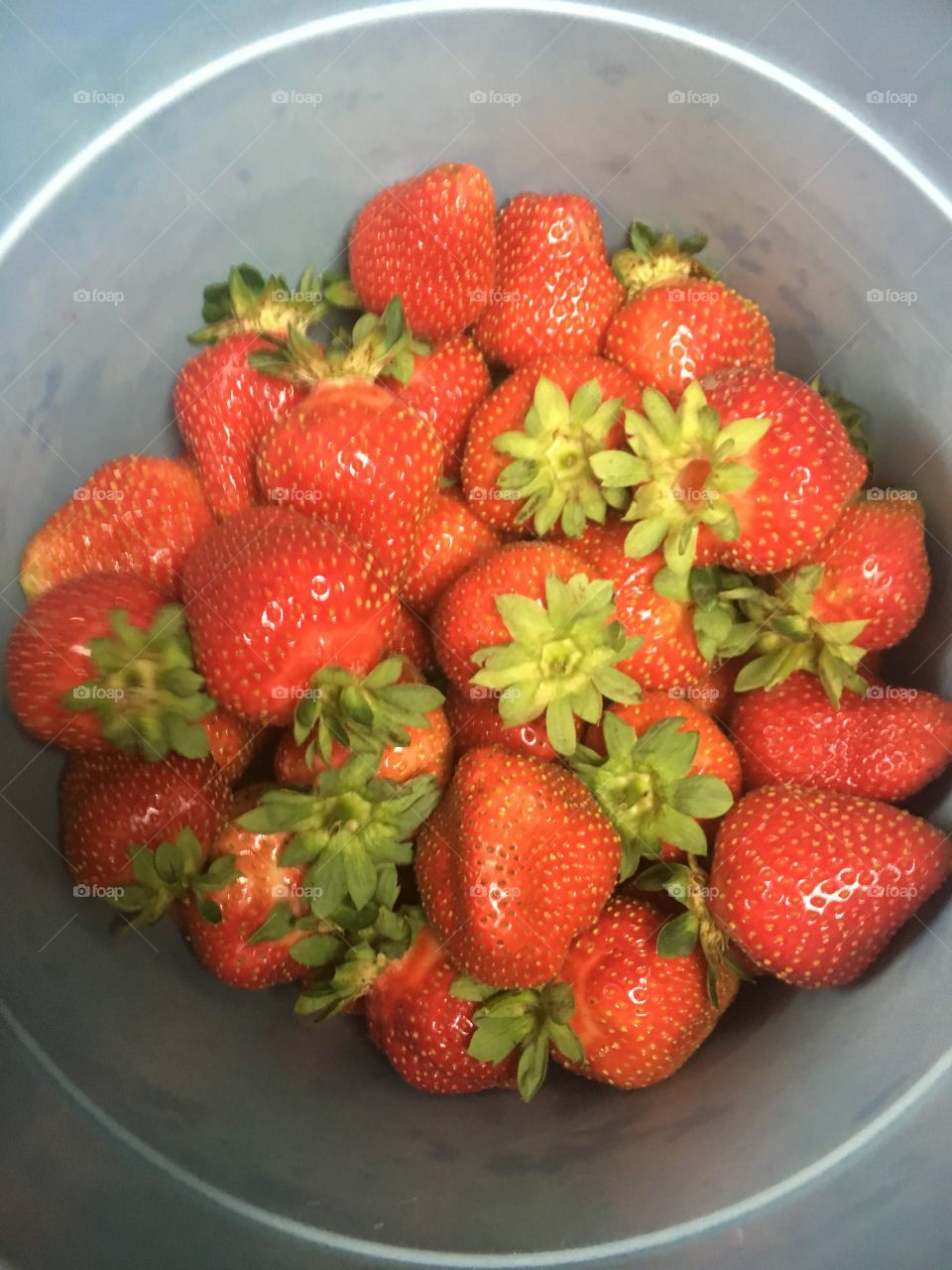 Fresh strawberries from a u-pick