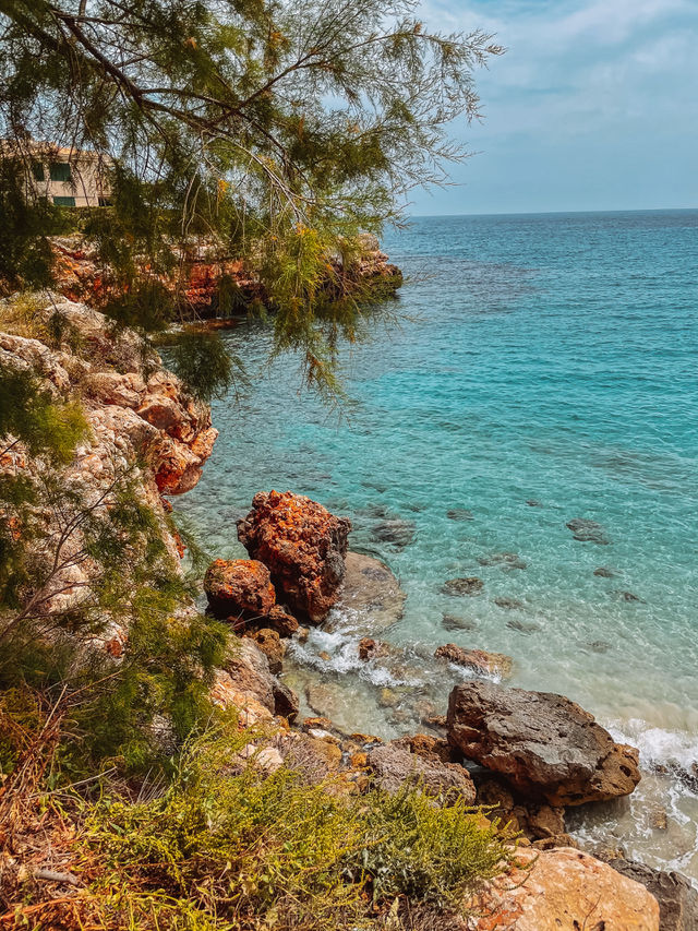 Rocky beach