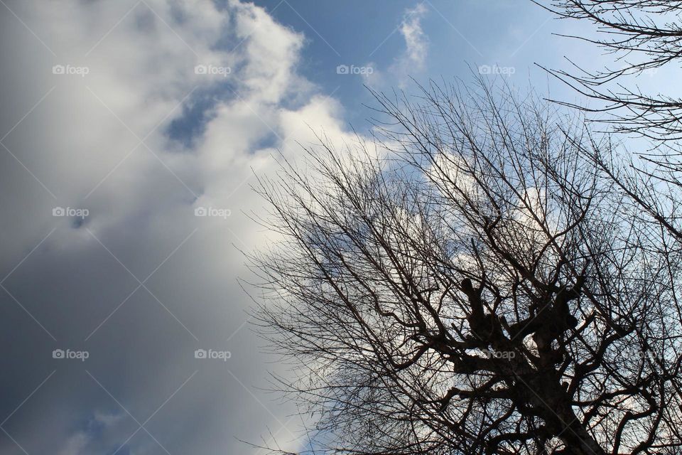 The blue sky today 💙