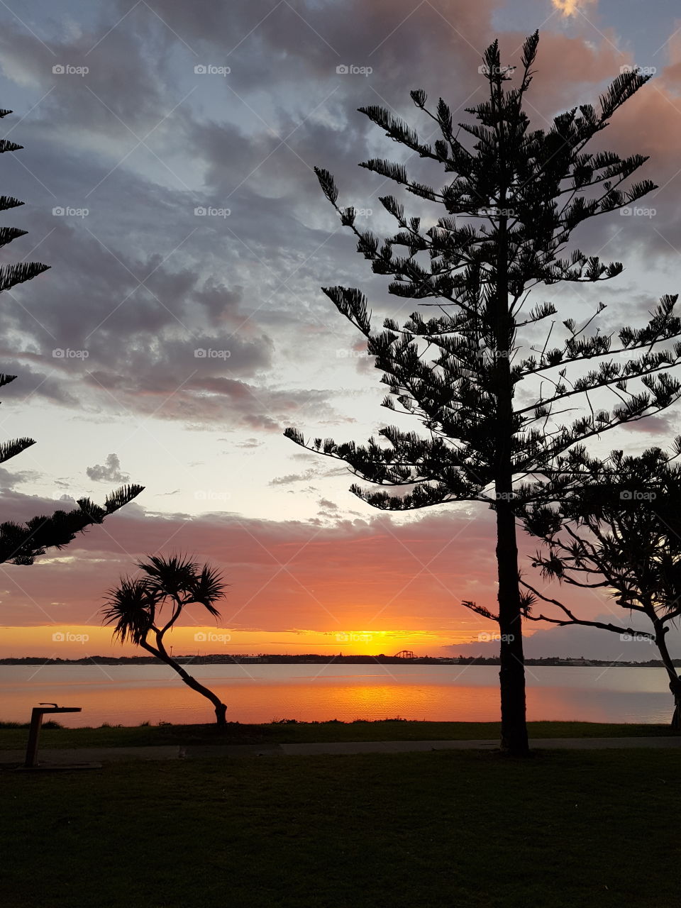 Park View of the Sunrise