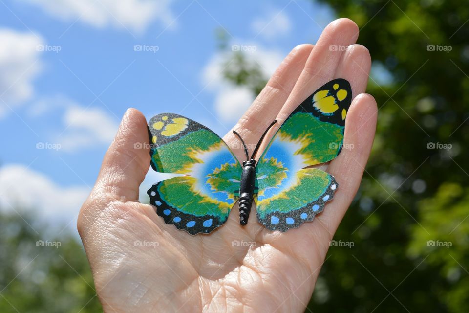 Nature, Summer, Outdoors, Hand, Butterfly