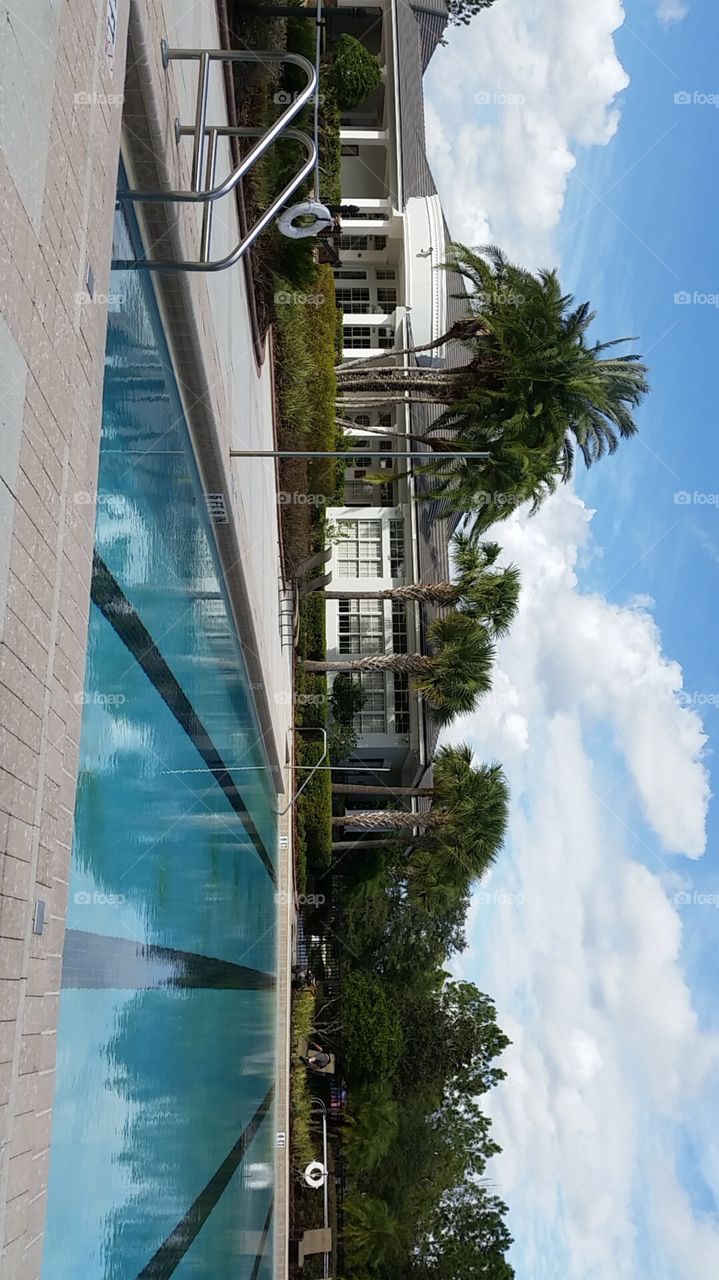 Poolside relaxation