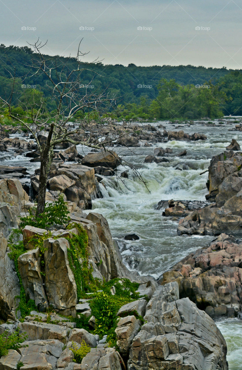 Water, Water, everywhere! I just happen to be fortunate enough to live in a state that has approximately 12,000 square miles of beautiful, refreshing, colorful oceans, rivers, lakes, ponds and swamps!