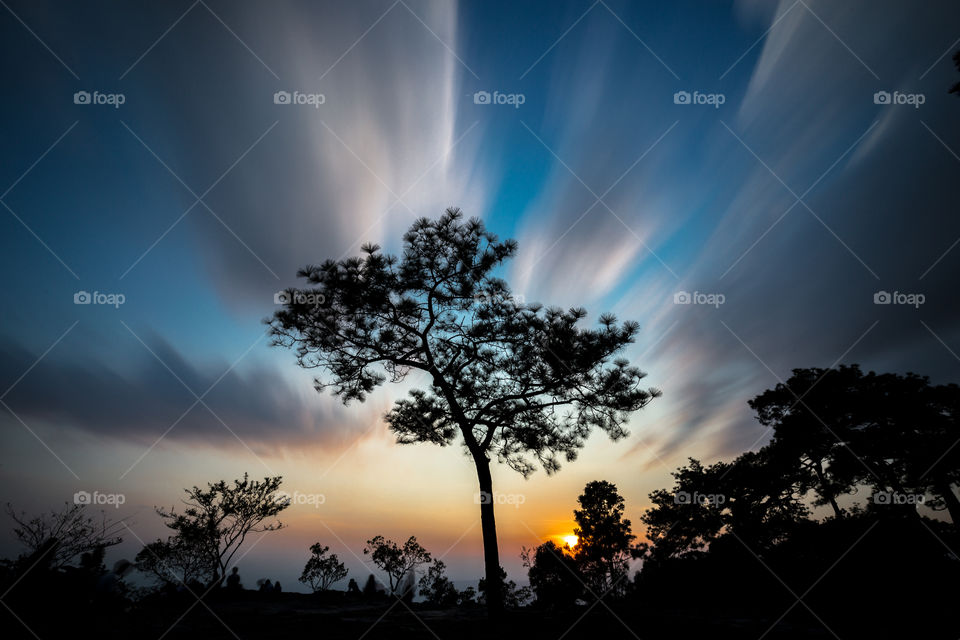 Lonely tree with moving cloud sunset