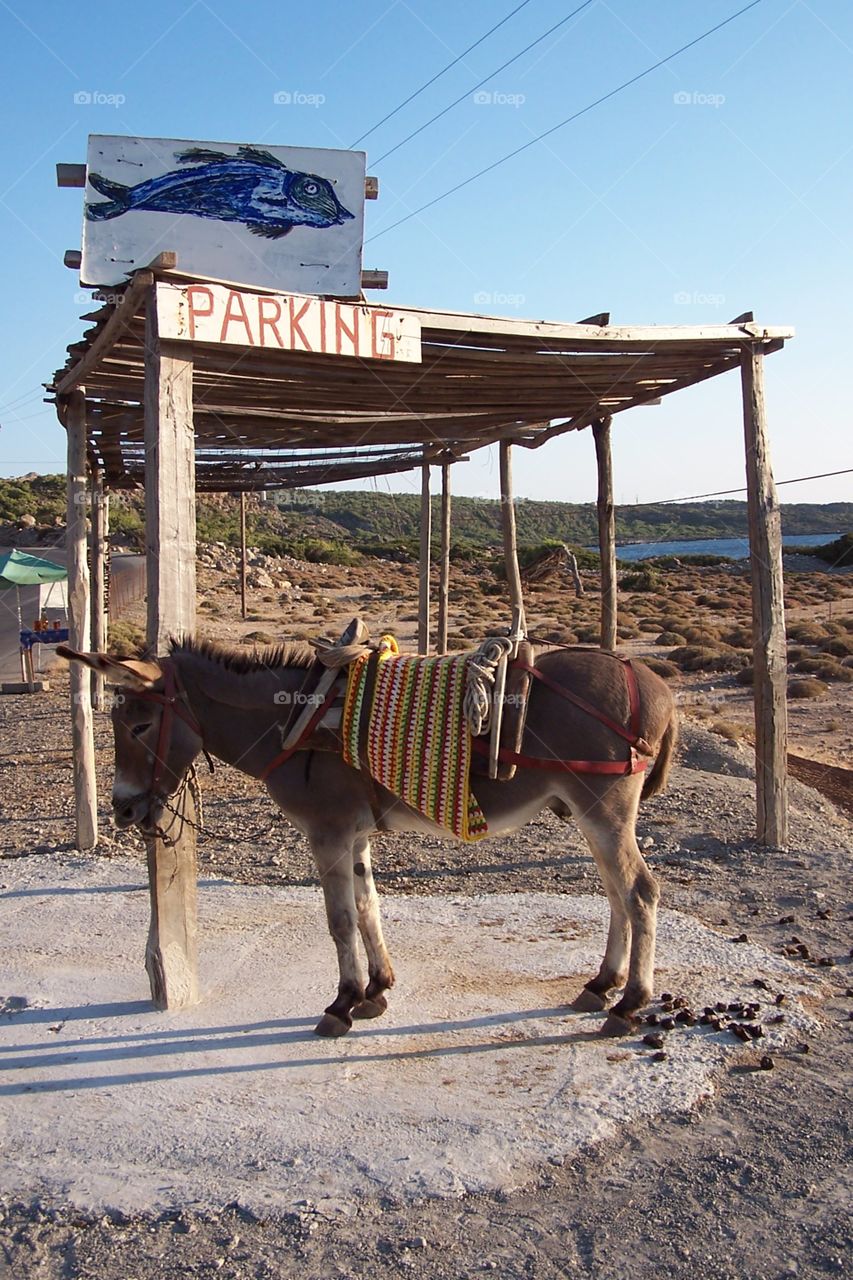 Donkey parking!!