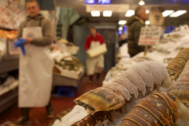 Fish Market