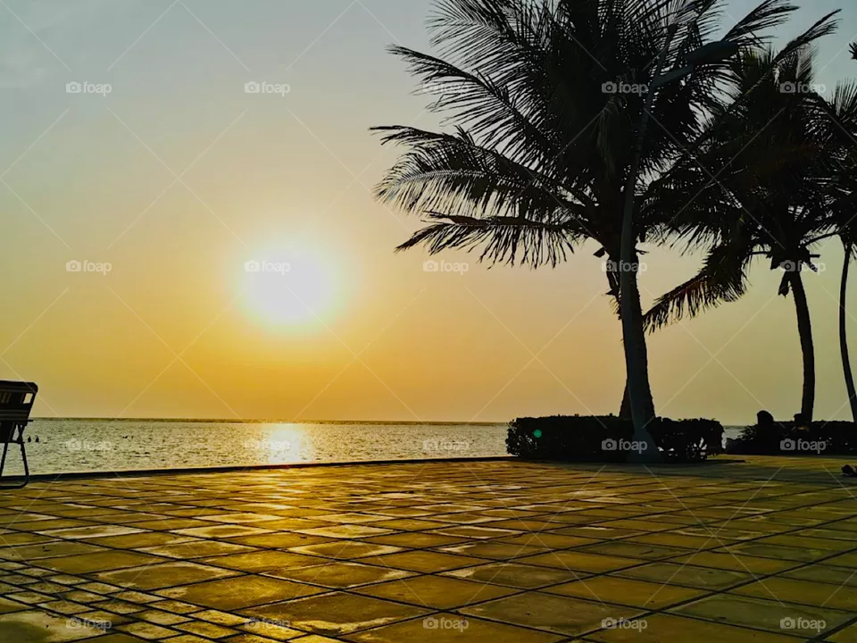 Sunset. 
