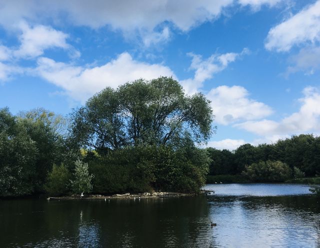A beautiful and peaceful lake scene