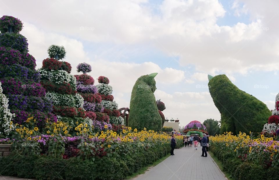 Dubai Miracle Garden