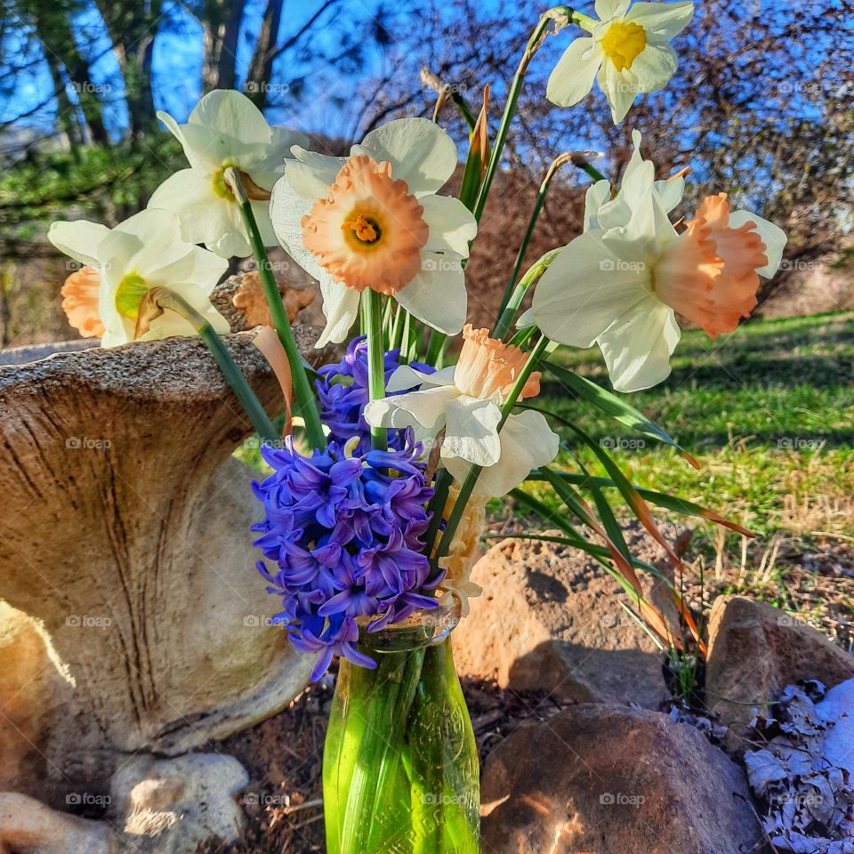 Flowers in a vase