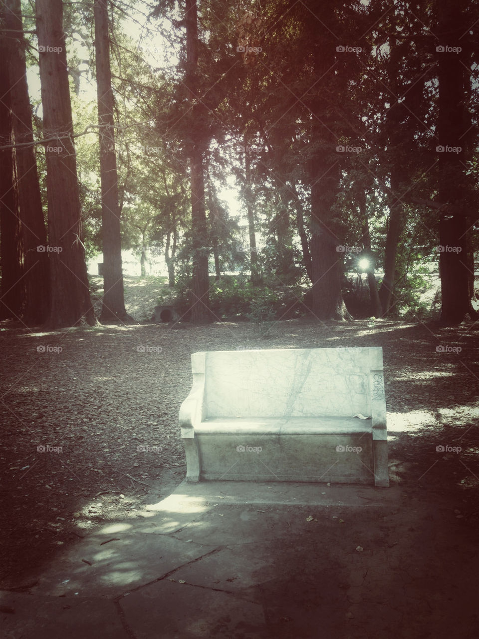 LONE BENCH