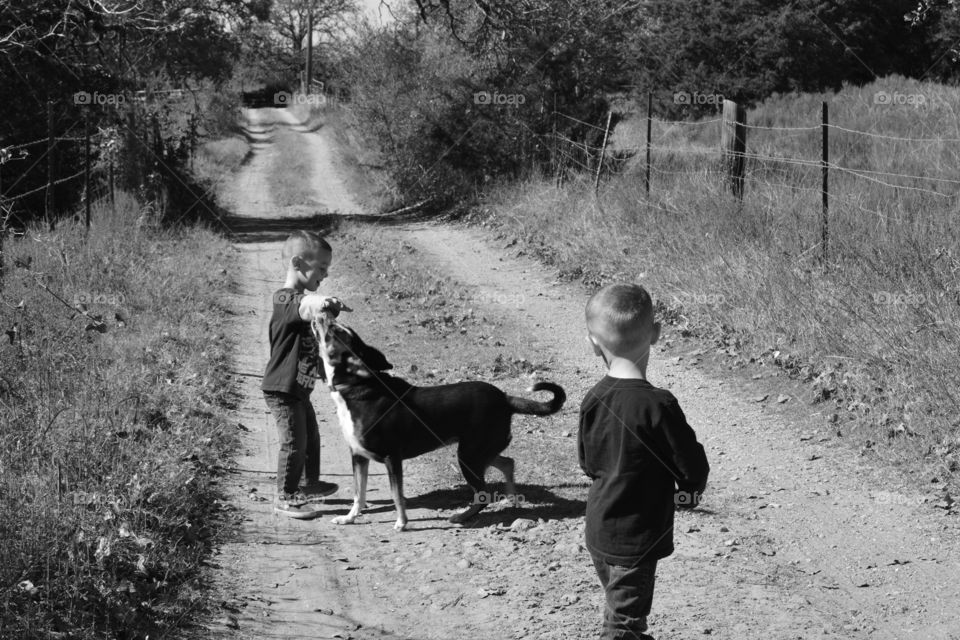 Boys playing with their dog friend in the middle of a dirt road on the farm. Done in black and white.