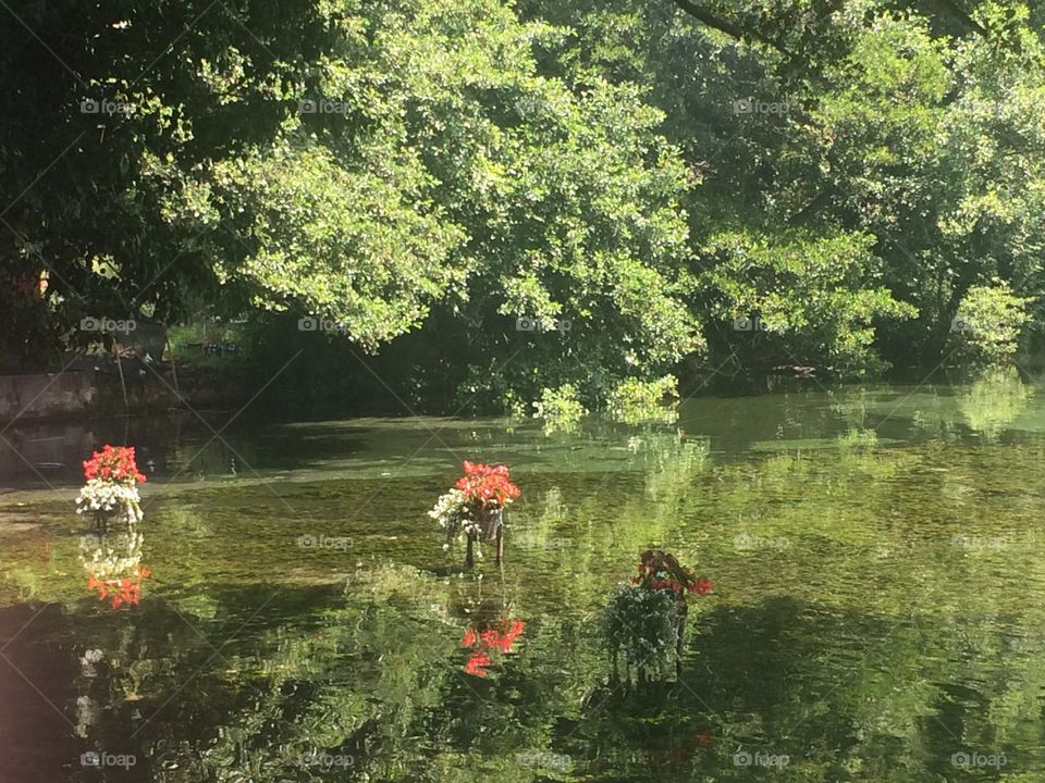 Water, River, Tree, Lake, Reflection