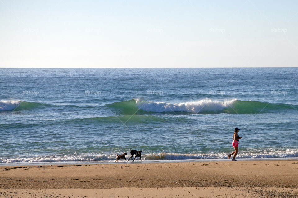 Exploring Australia, Woman jogging and her dogs playing in the morning at the coastal walk of Coffs Harbour, New South Wales, NSW