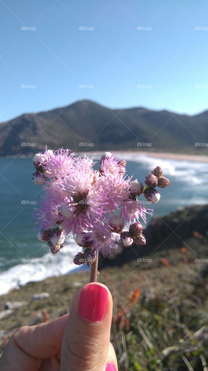 Lagoinha do Leste, Florianópolis -♥Brasil