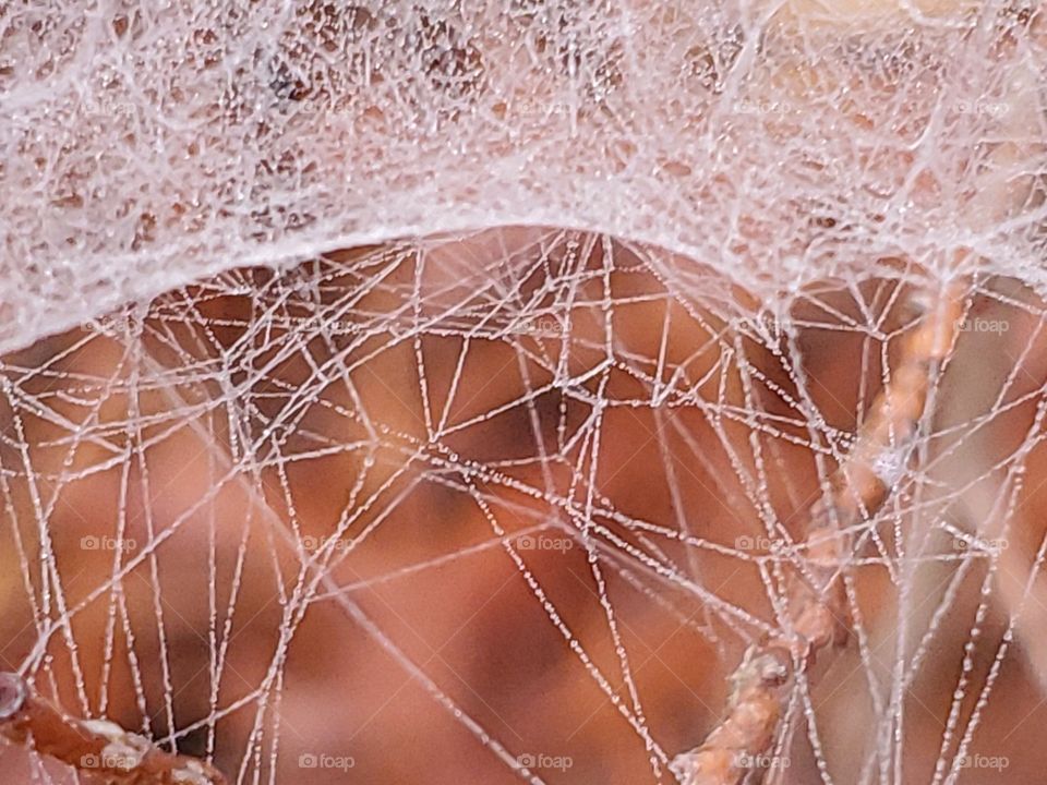 red clay and spiderwebs