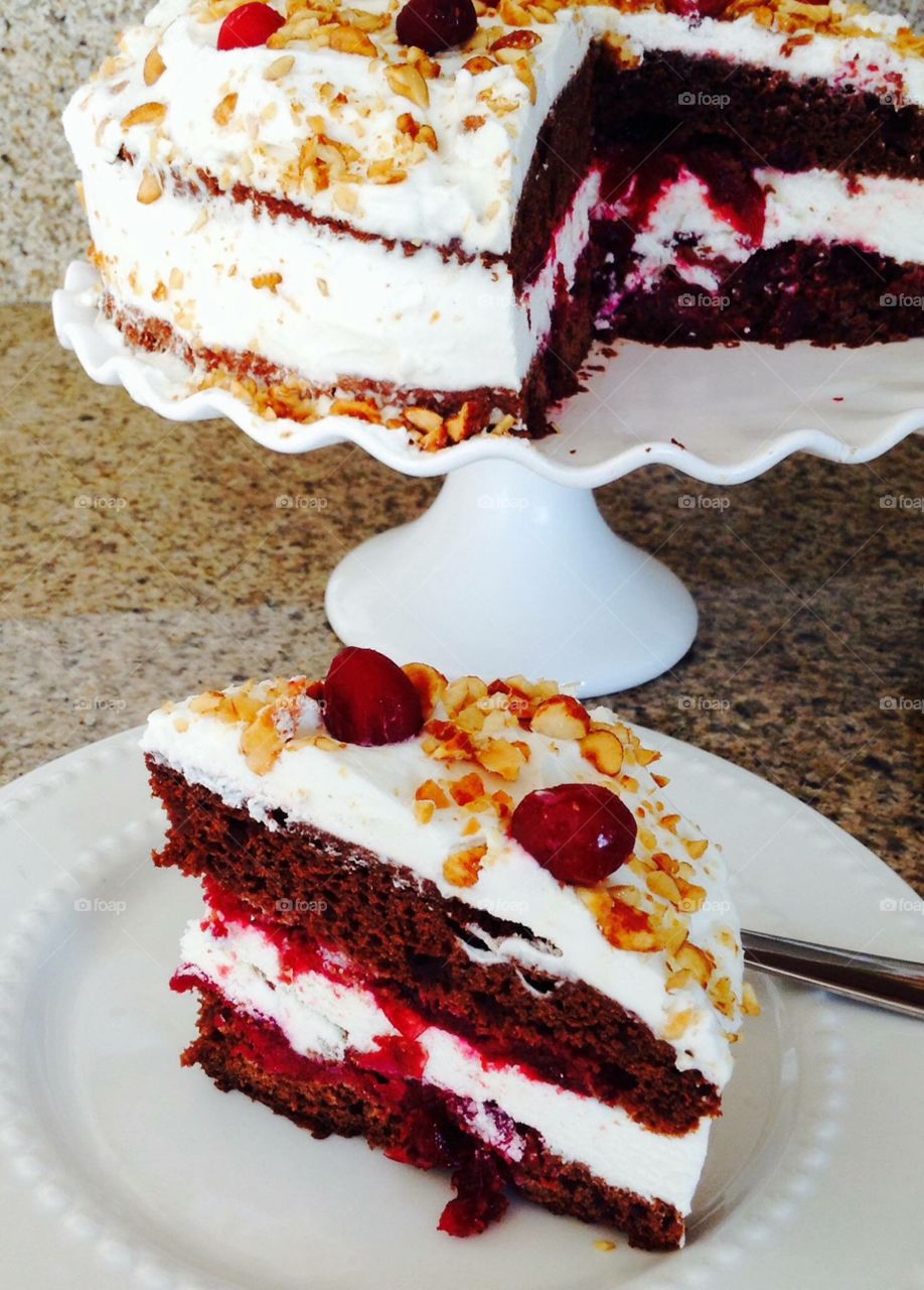 Homemade cranberry cake