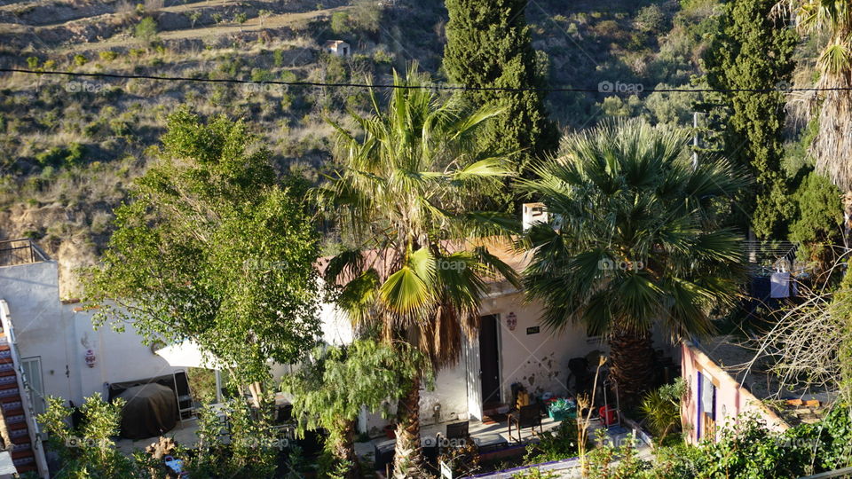 Nature#palms#greengrass#photography#adventure#outdoors