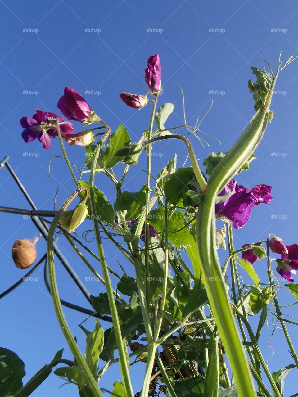 Reaching for the sky 