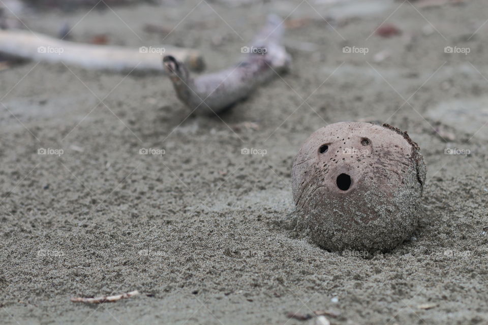 Mr. Coco on the beach