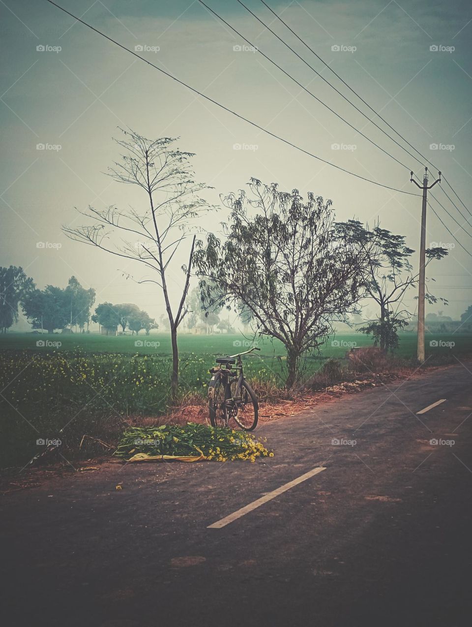 # village life# nature# photography