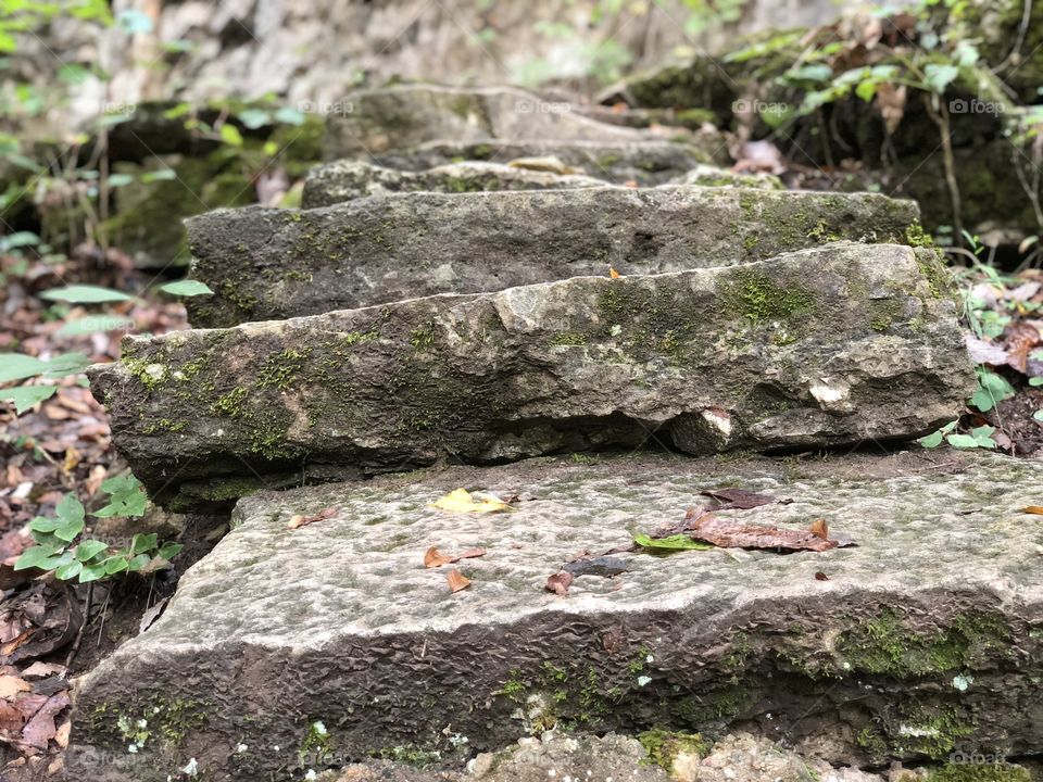 Old Mossy Staircase