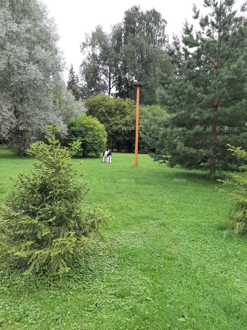 В  пансионате!