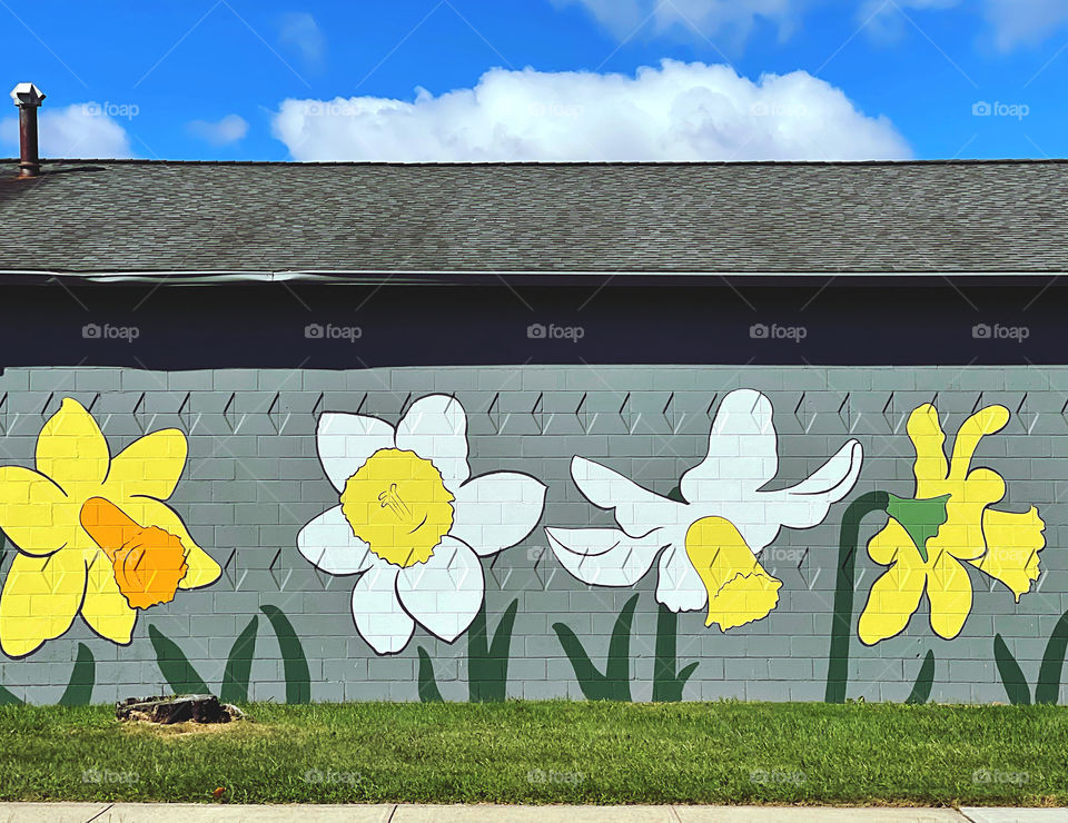 Daffodil mural