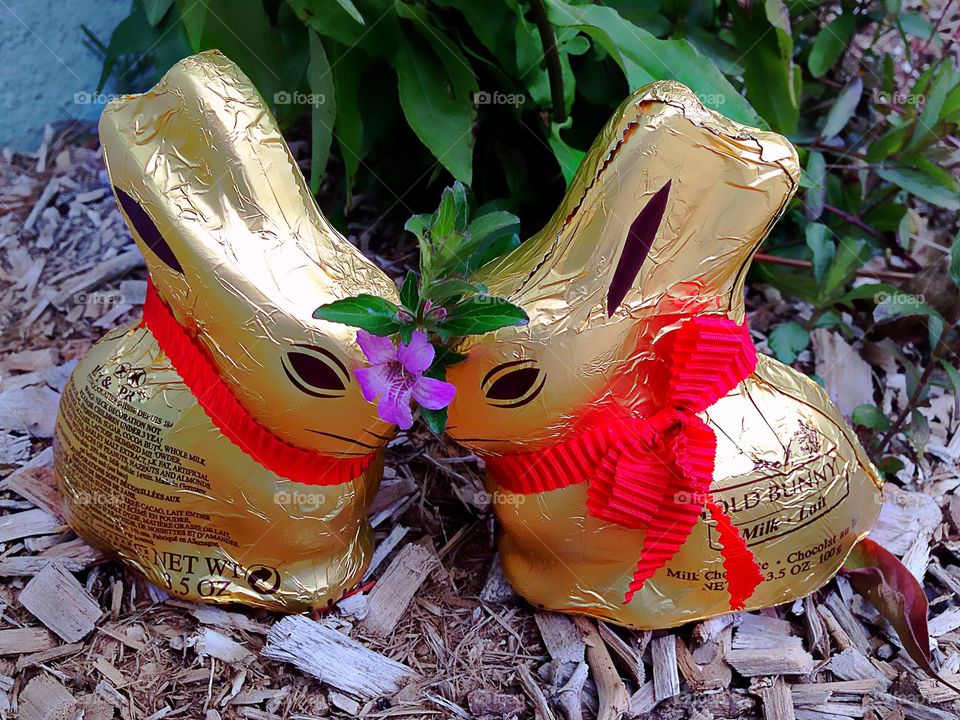 Happy Easter- chocolate bunnies wrapped in gold.