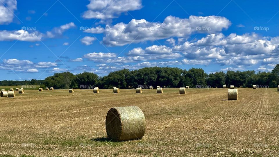 Bale of Hay…