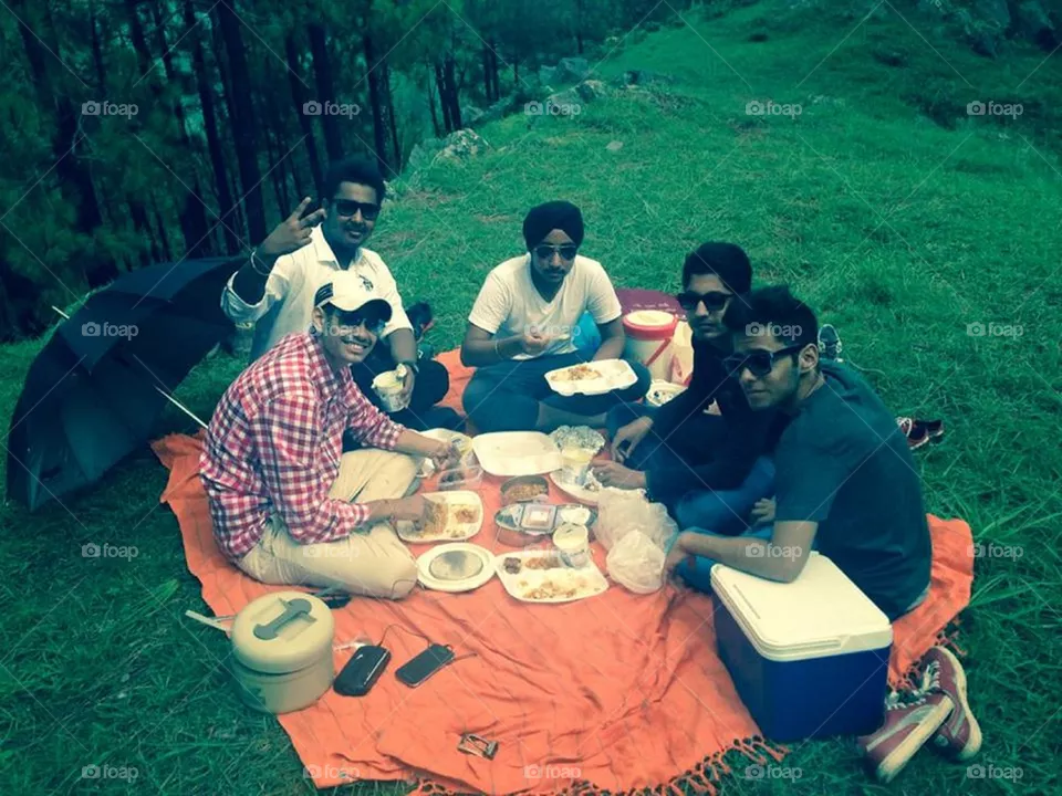 Picnic 