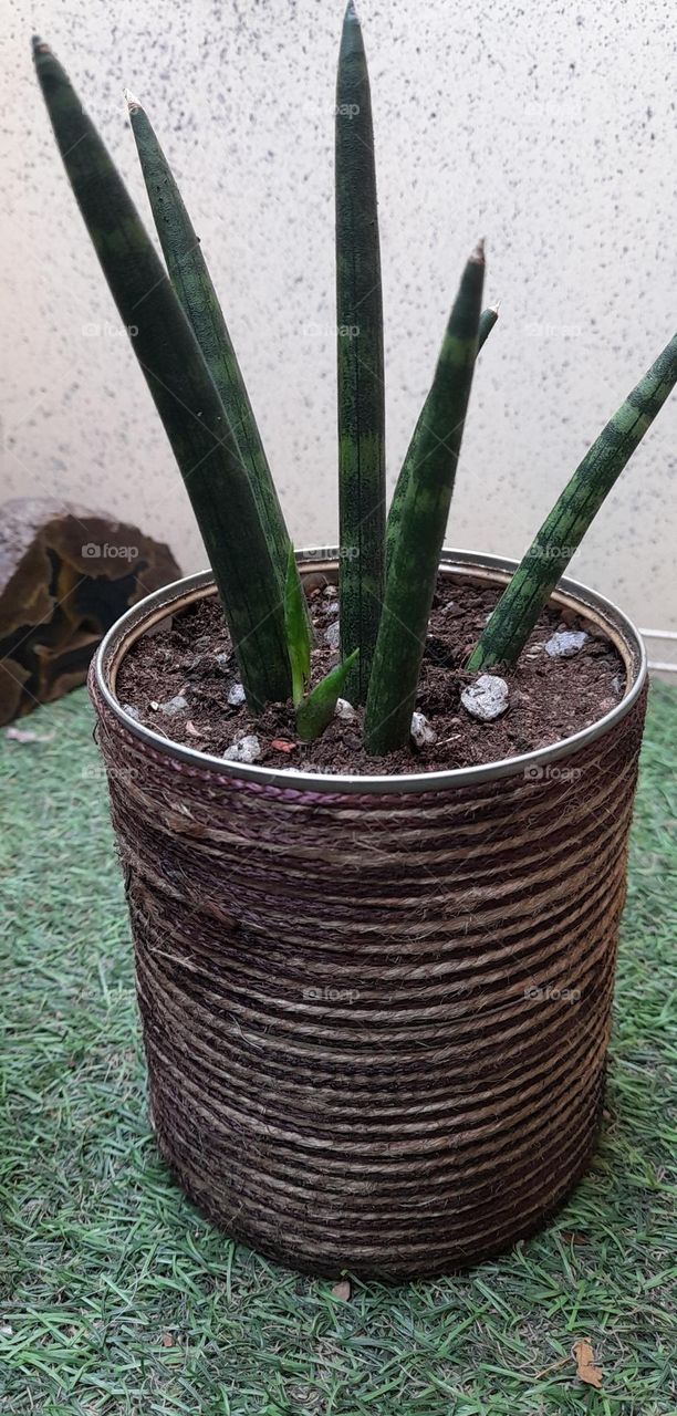 mes pots customisés