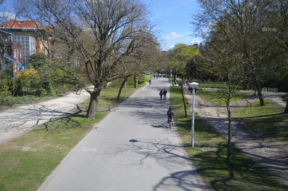 Spring At The Vondelpark Amsterdam The Netherlands