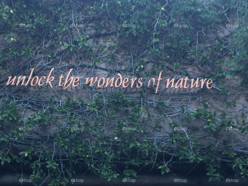 Unlock the wonders of nature 
