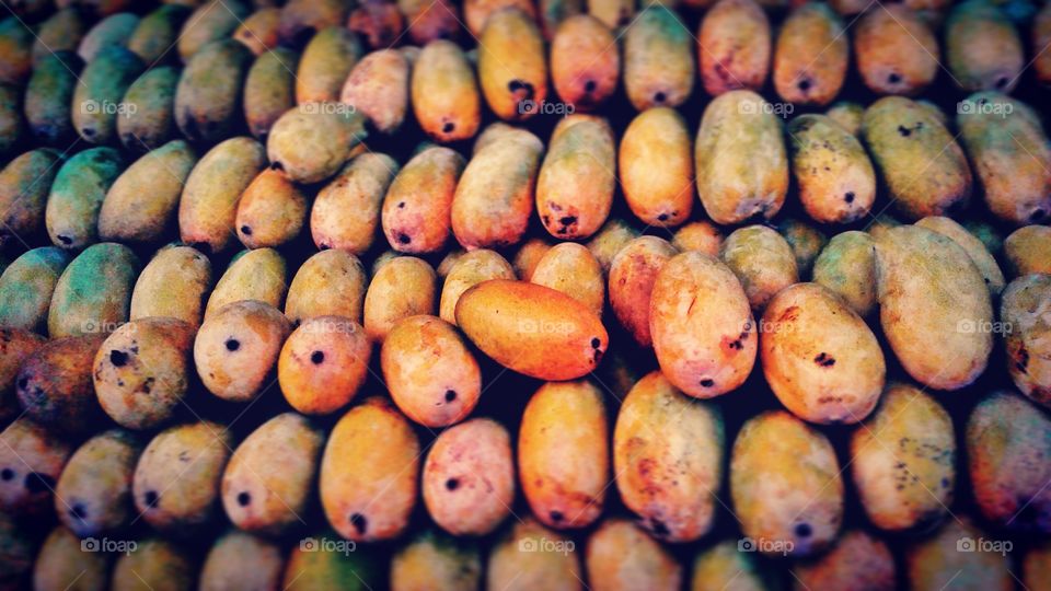 Mangoes Of Kokan region of India.