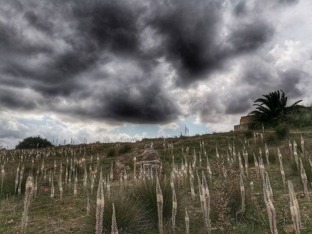 paysage