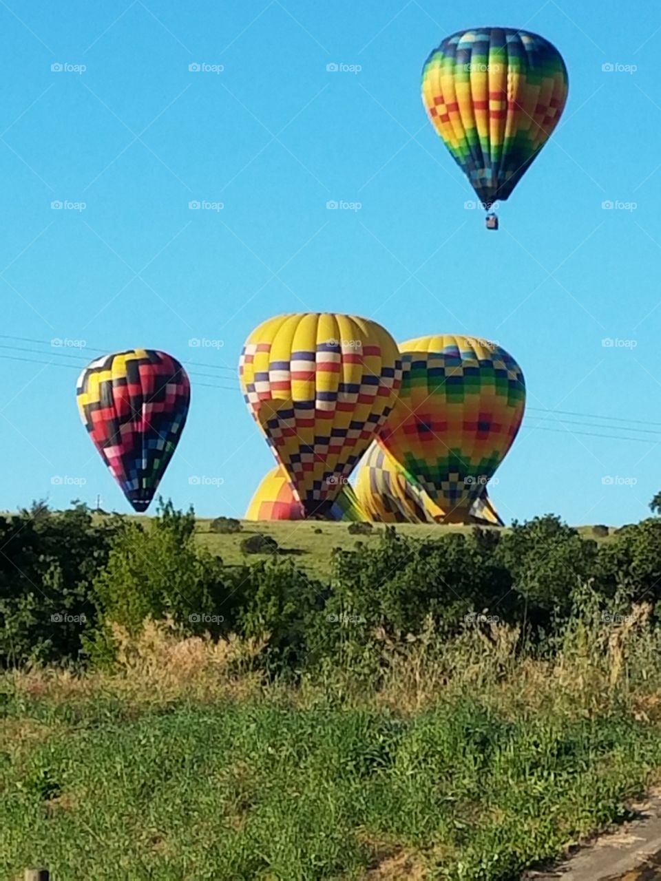 Napa Valley Hot Air Balloon 2.