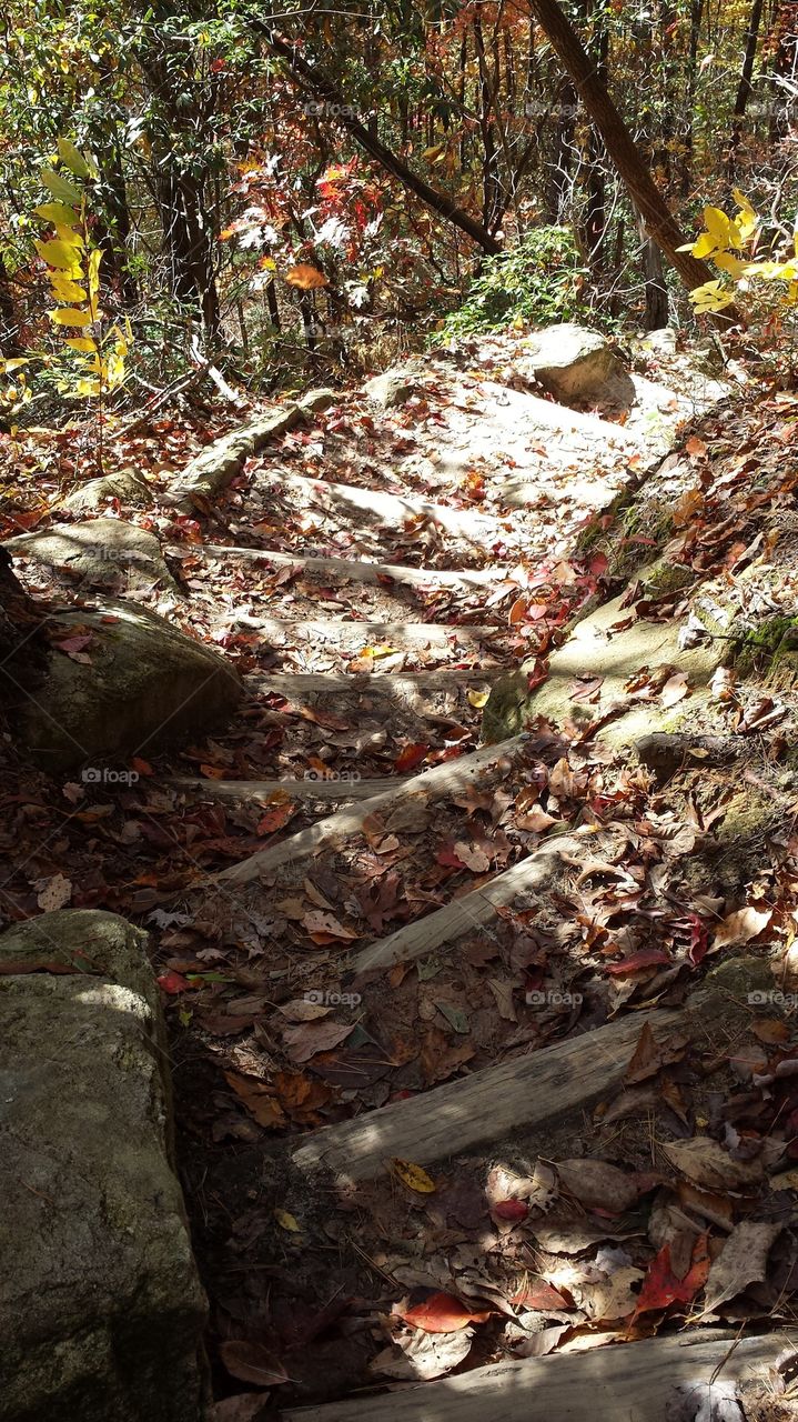 Rainbow Falls Trail