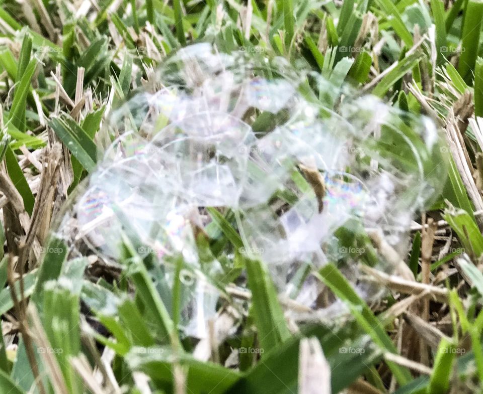 Multi bubbles