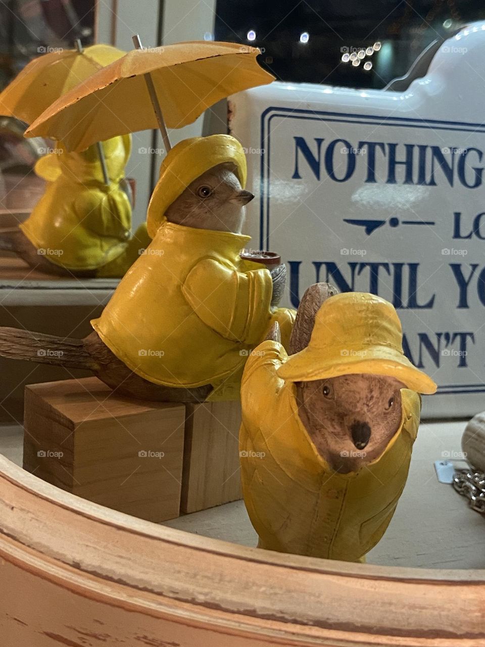 Birds in raincoats on display